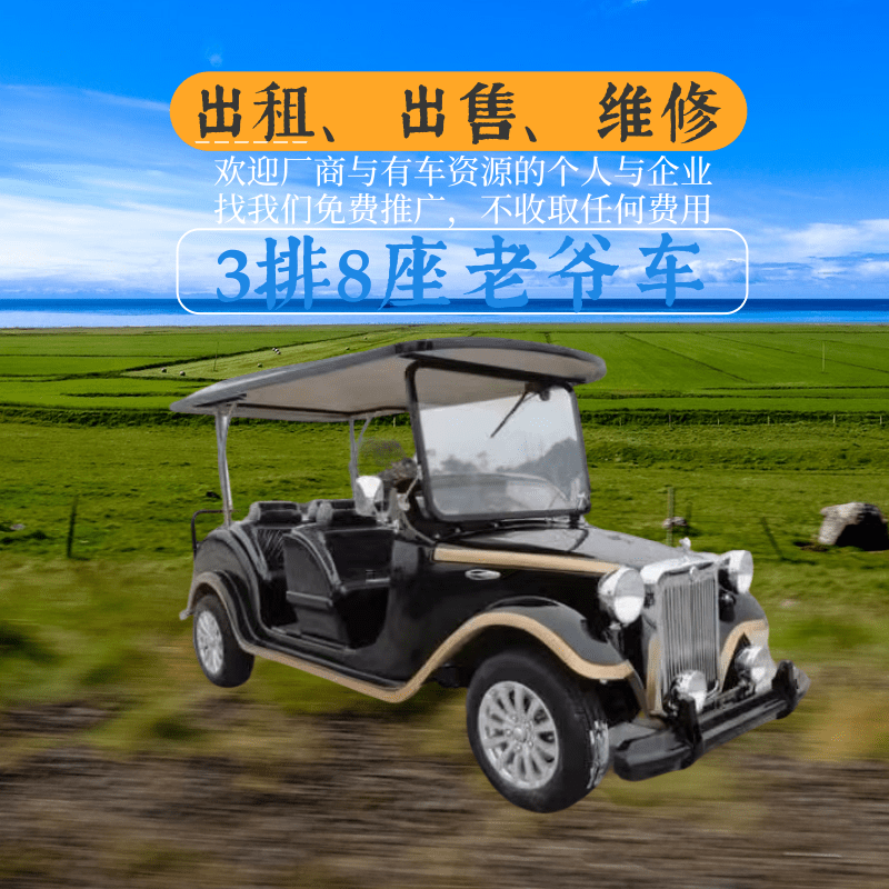 山东鑫华凯3排8座黑色铁壳老爷车出租