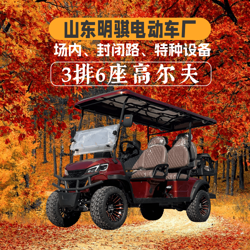 山东明骐3排6座红色电动高尔夫球车
