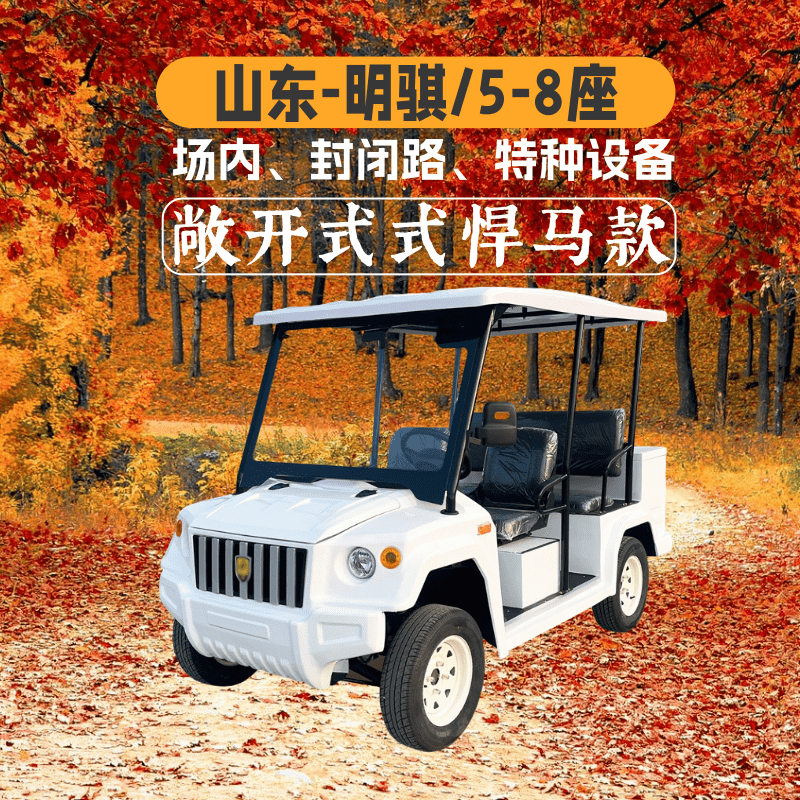 山东明骐悍马款电动高尔夫球车